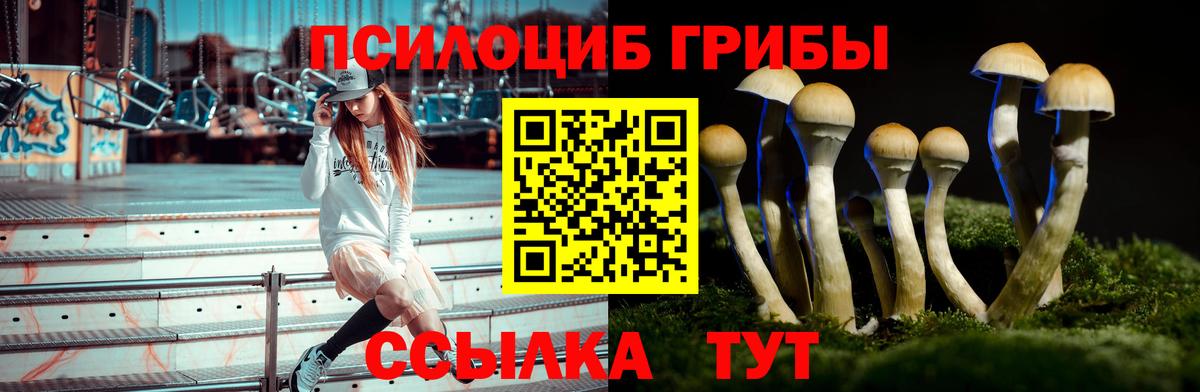Галлюциногенные грибы GOLDEN TEACHER  Вход с VPN  Лабинск 